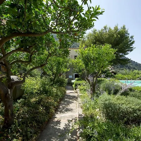 Flora, * Massa Lubrense
